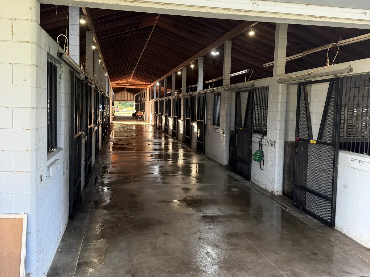 Clean horse barn aisle with wooden stall doors and a freshly washed concrete floor