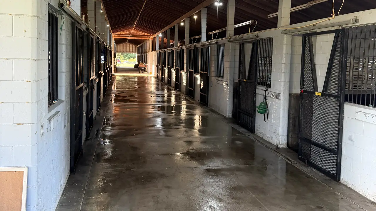 Clean horse barn aisle with wooden stalls and a freshly washed concrete floor